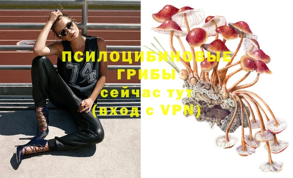 МДМА Ладушкин