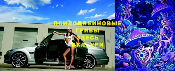 МДМА Ладушкин