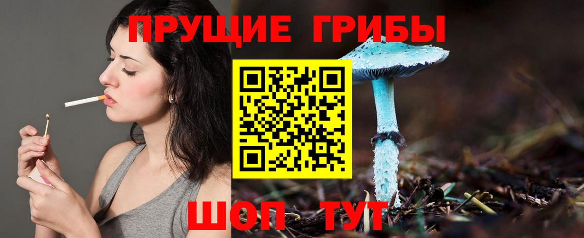 Галлюциногенные грибы мухоморы Старый Оскол